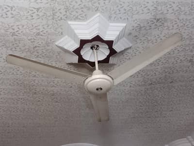 ceiling fan (Pak Fan