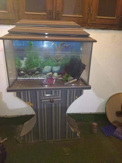Fish Aquarium set up for sale