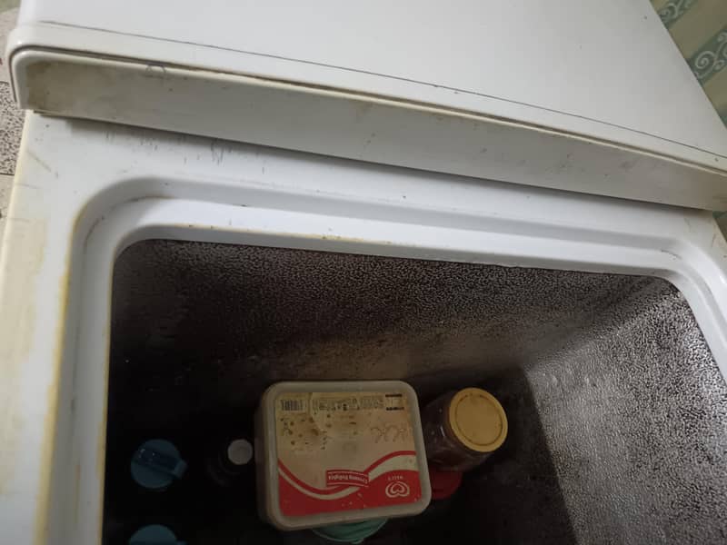 Waves D freezer 1