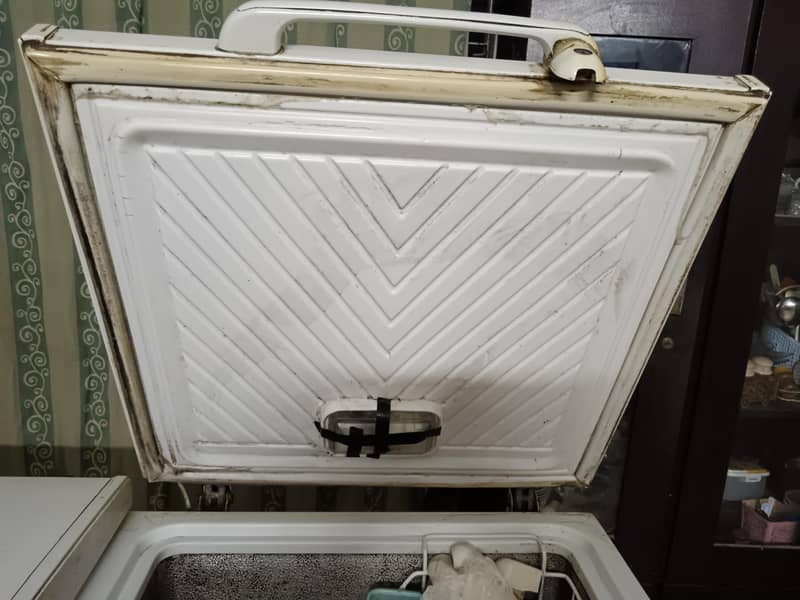 Waves D freezer 3