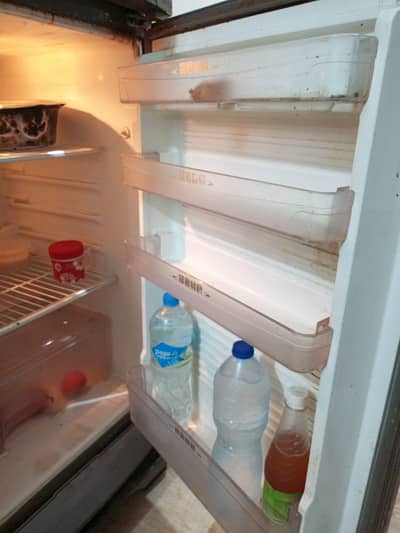 sale fridge