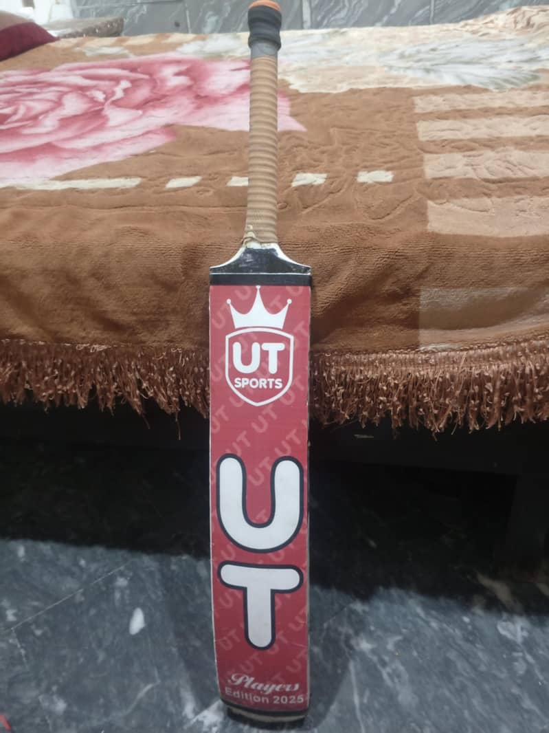 Cricket Bat 1