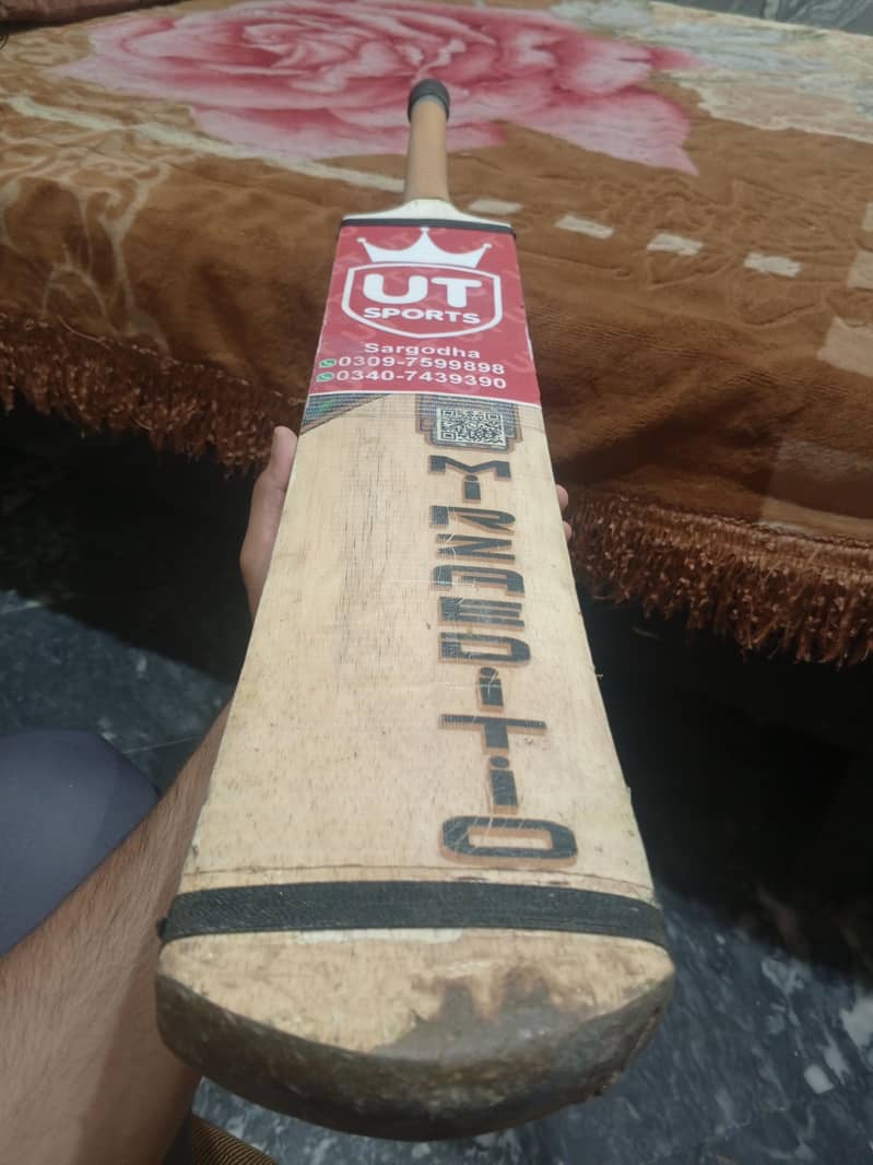 Cricket Bat 2