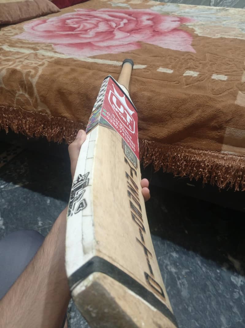 Cricket Bat 3