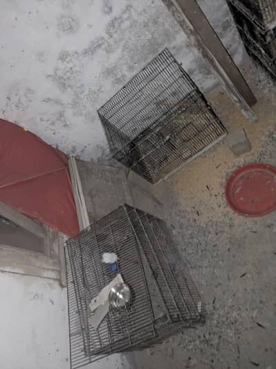 cages for sale