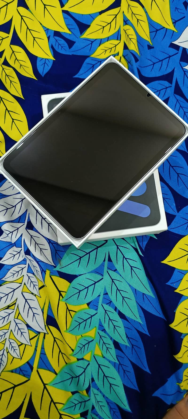 apple iPad Mini 7 2