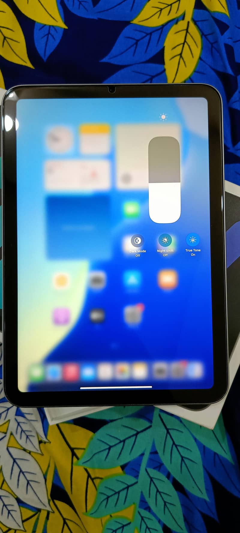 apple iPad Mini 7 9