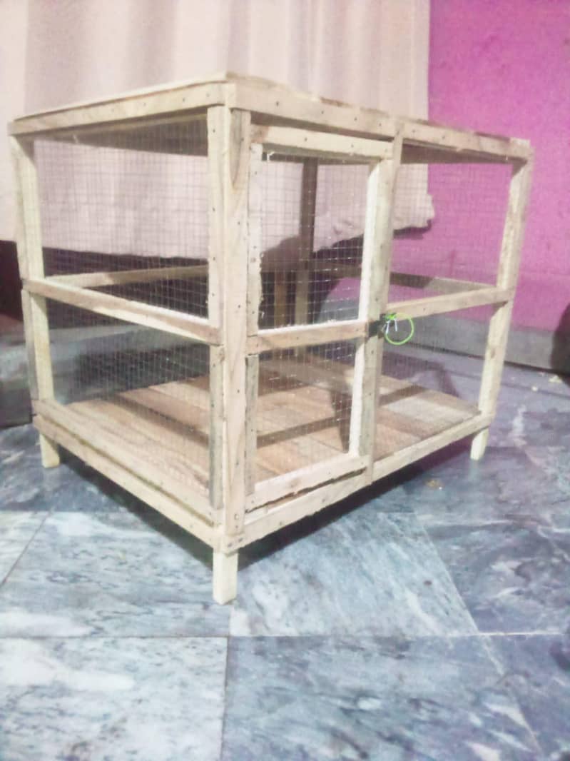 hen's cage 4