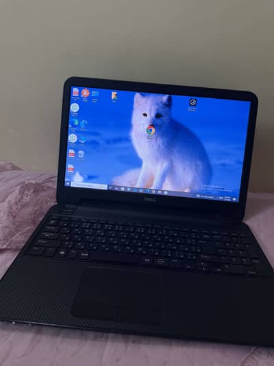 Dell Laptop