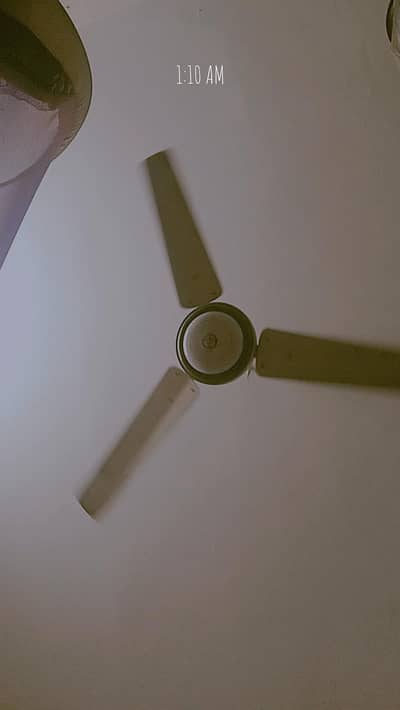 3 fans for urgent sale