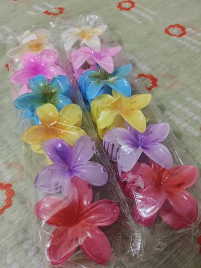 Elegant Claw Clip Collection 