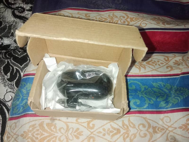 Earbuds 1
