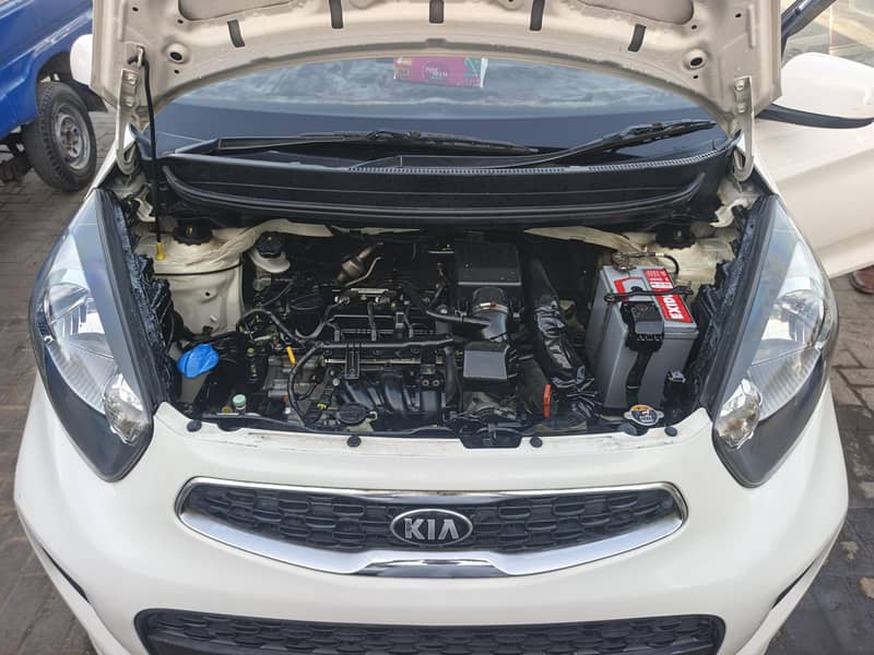 Picanto 1