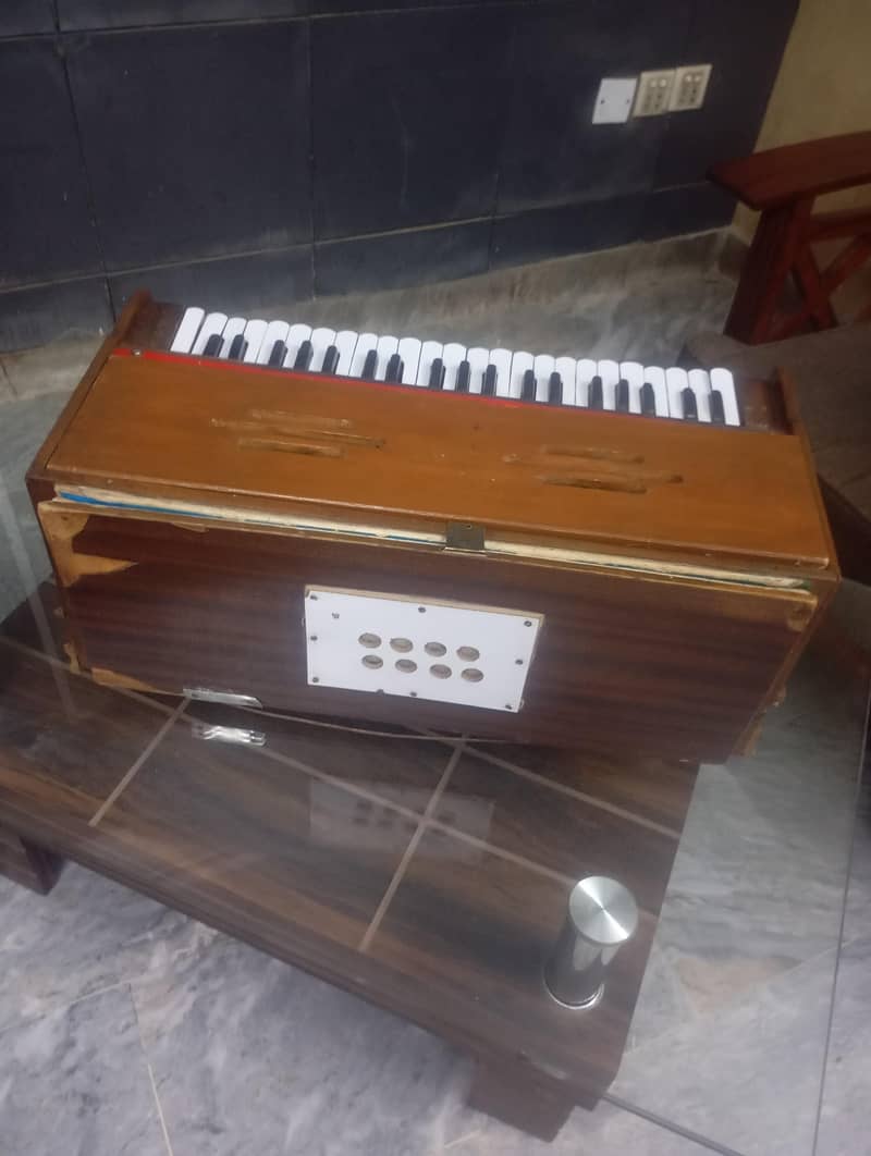 Musical Instruments 11