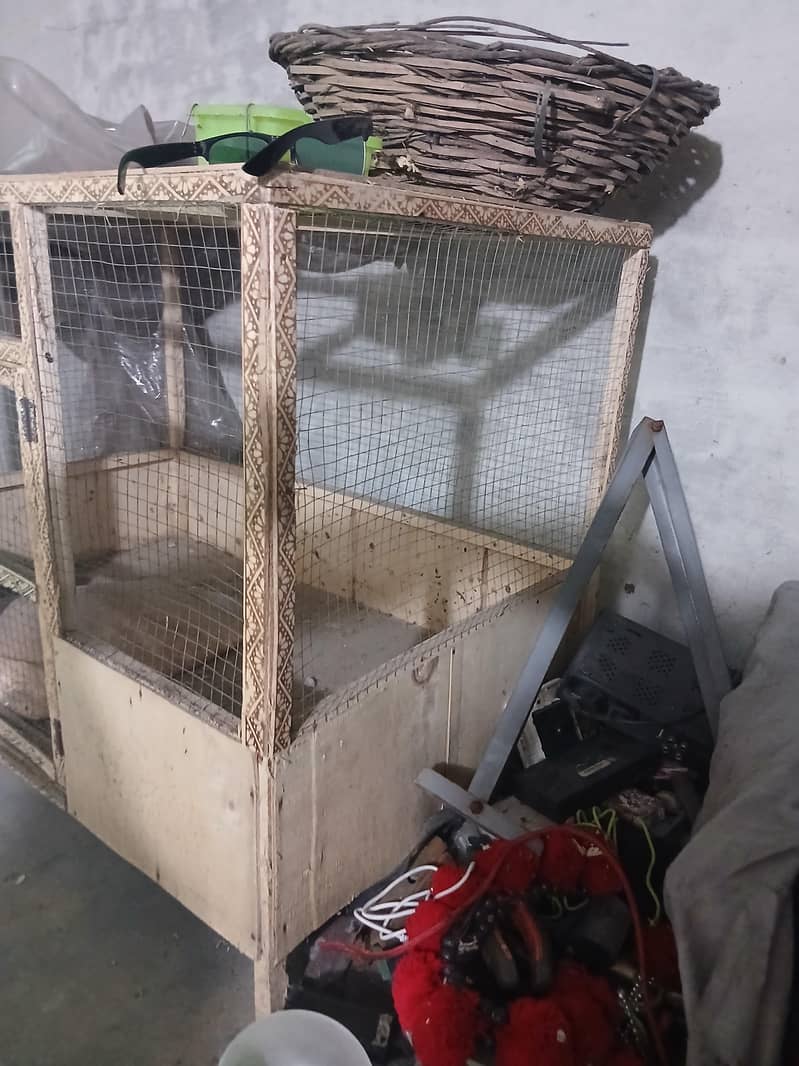 new cage 2