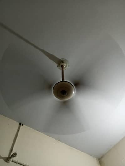 Ceiling fan of wahid co