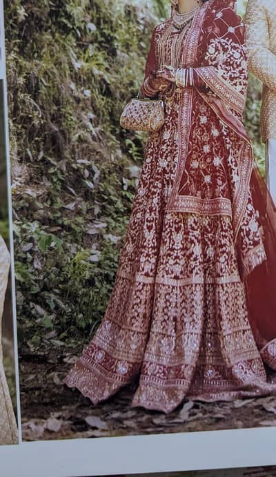 bridle dress