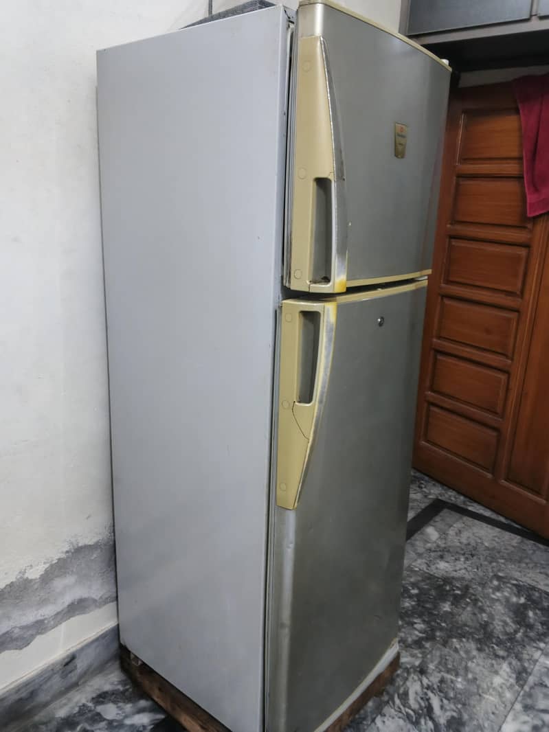 fridge 6