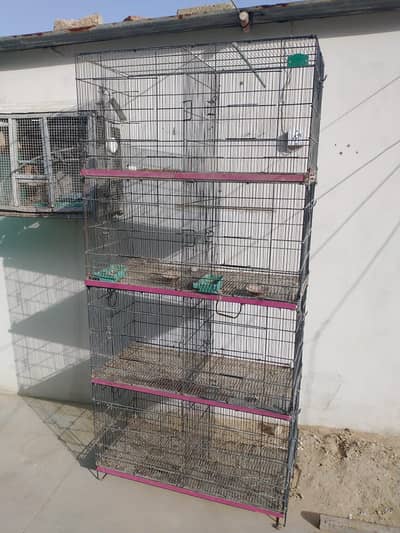 Bird Cages for Sale