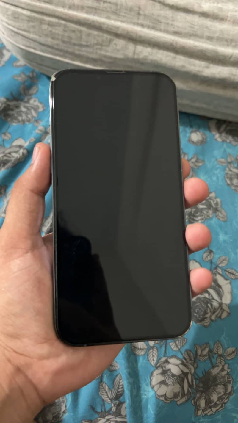 iPhone 13 Pro Max 0