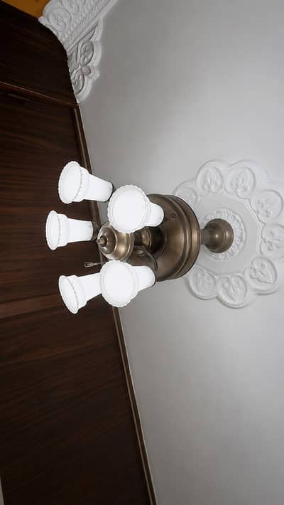 “Decorative ceiling fan with light