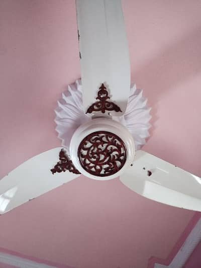 Fan for sale
