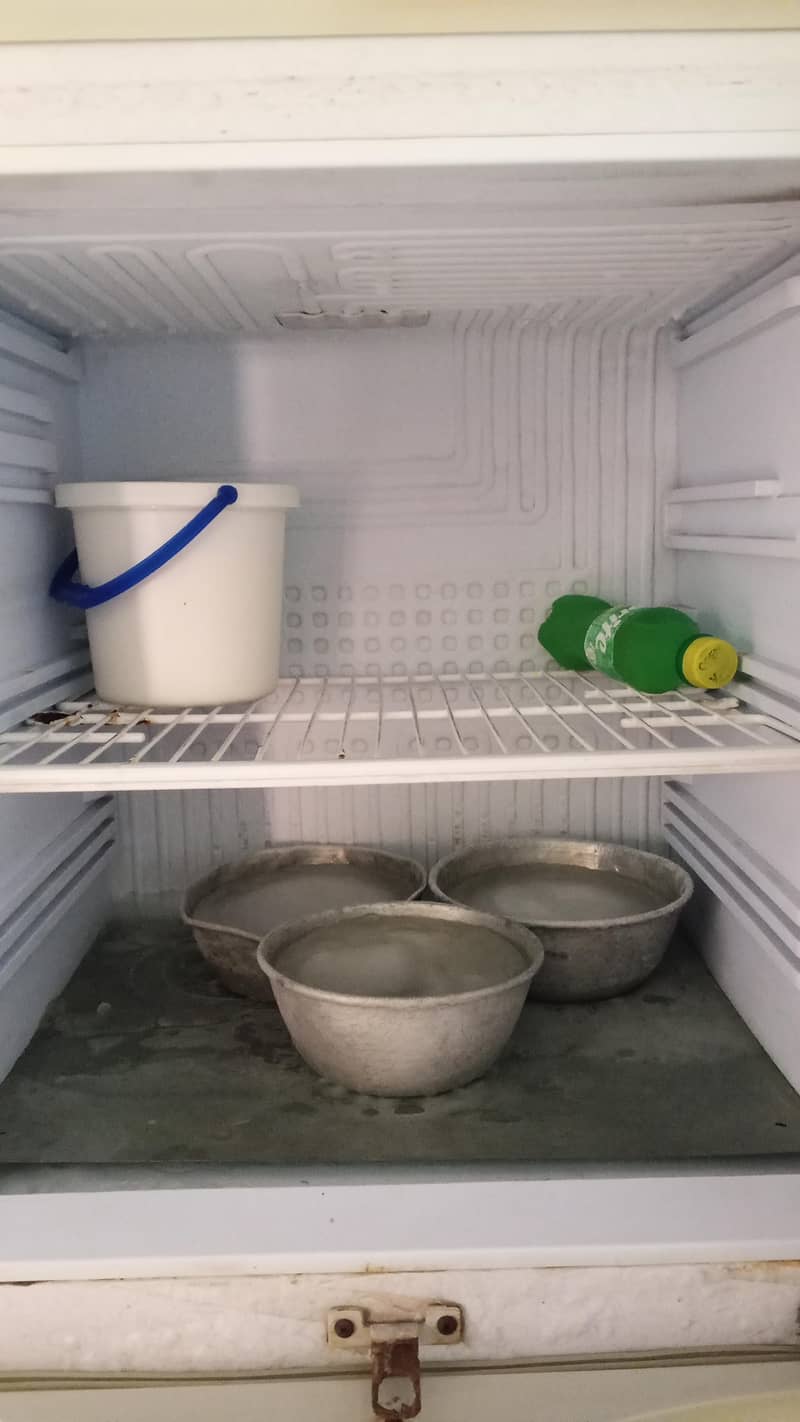PEL fridge 2