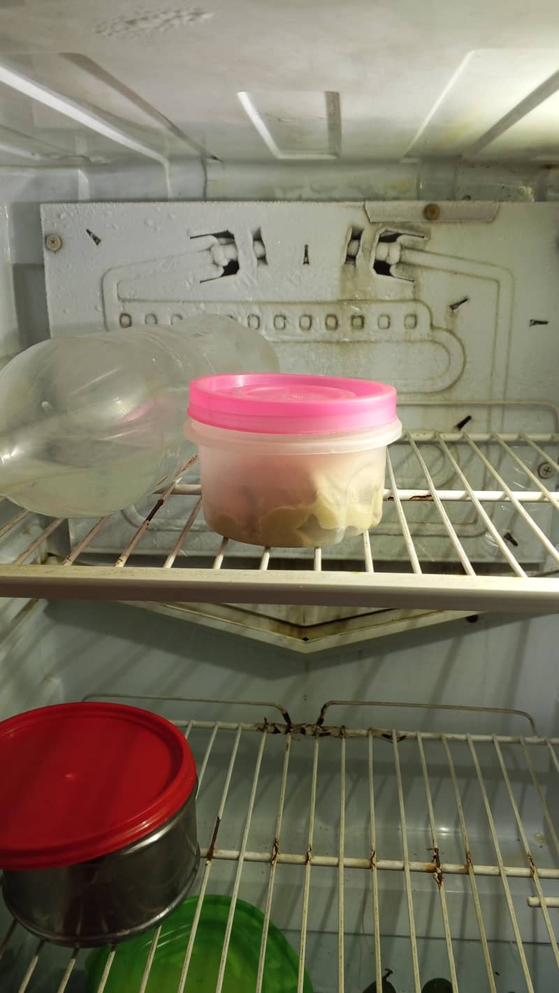 PEL fridge 3