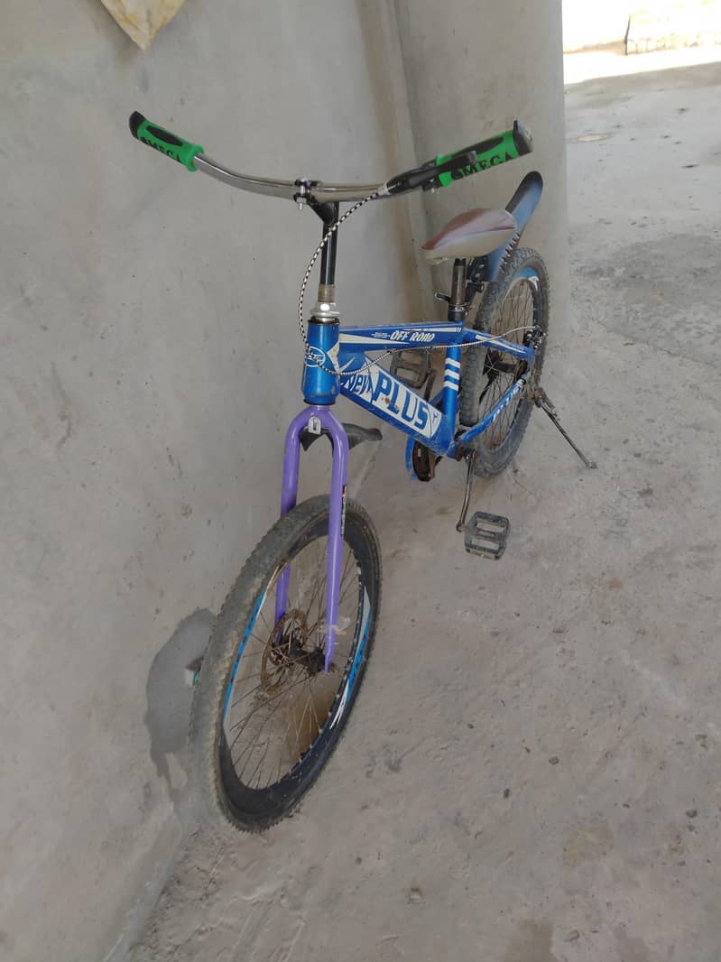 Cycle 1