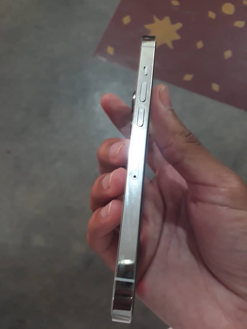 13 pro 2