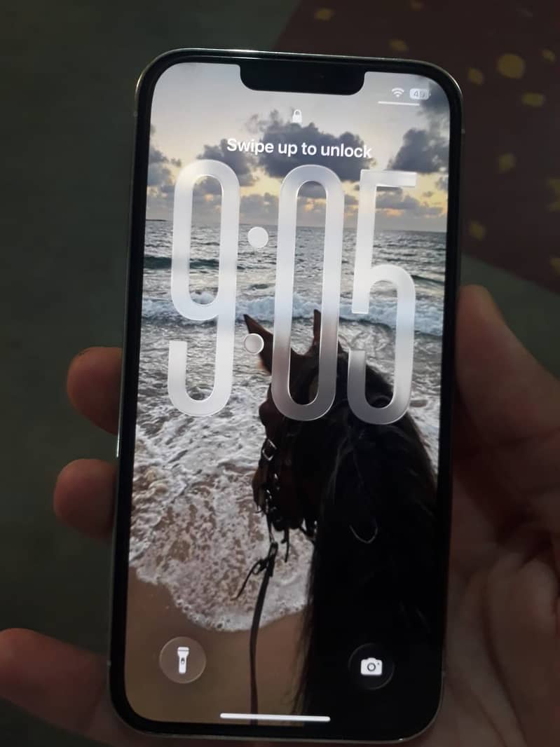 13 pro 6