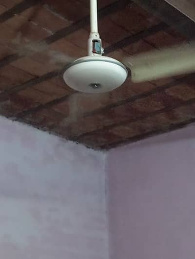 GFC ceiling fan