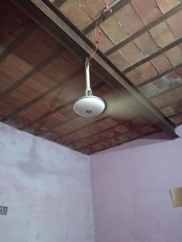GFC ceiling fan 1