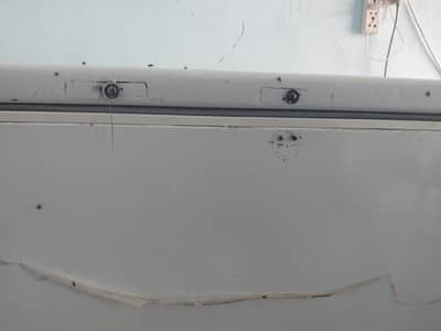 PEL Deep Freezer