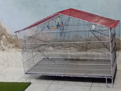 cage for birds