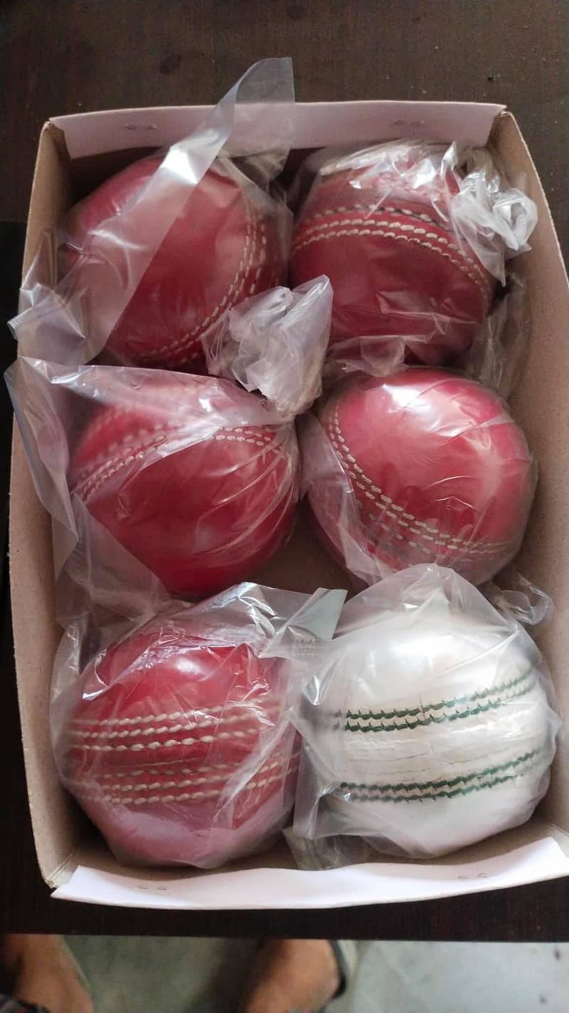 Cricket practice ball 1