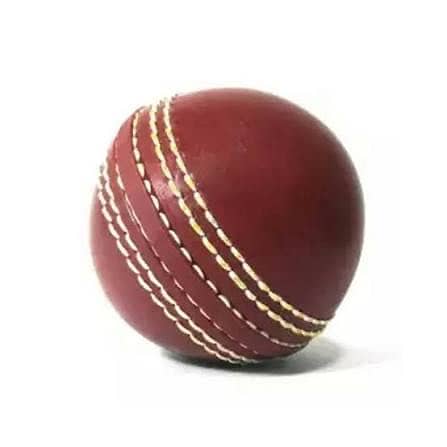 Cricket practice ball 5