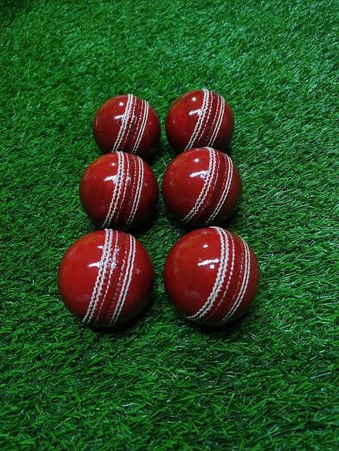 Cricket practice ball 1