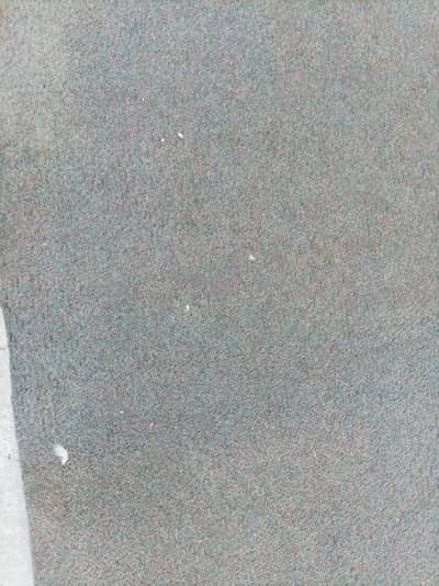 Carpet for sale