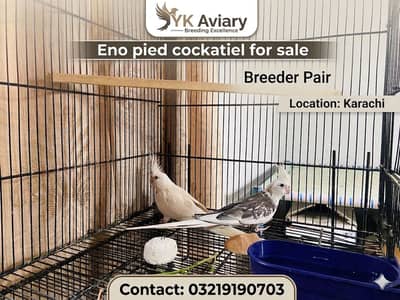 Eno Pied cocktail Pair