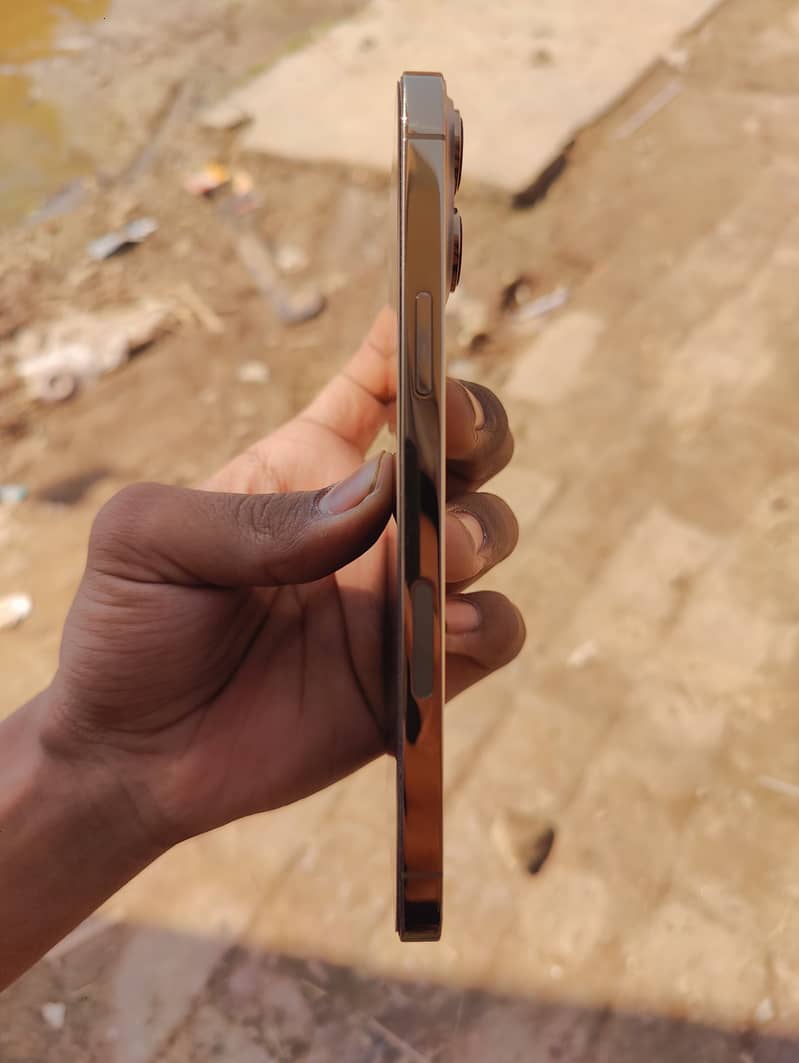 Iphone 13 pro max 1