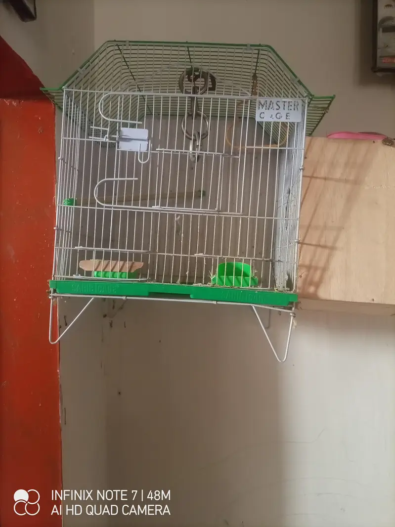 cages for sale