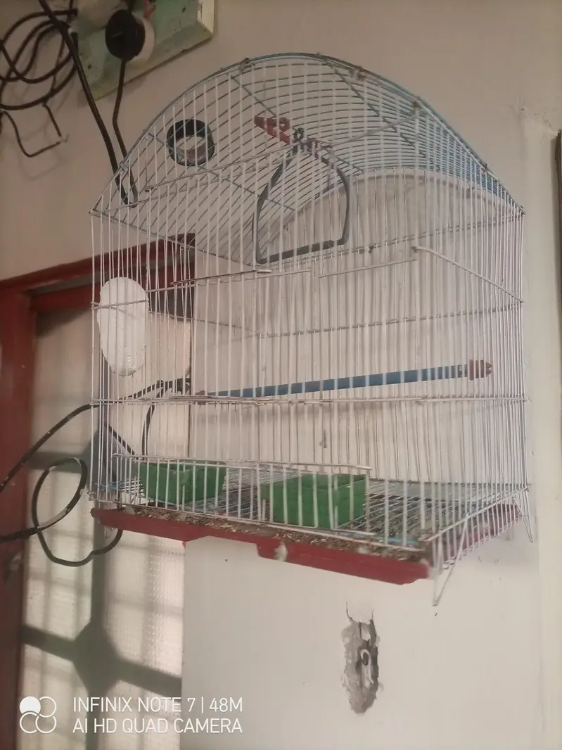 cages for sale — photo 2
