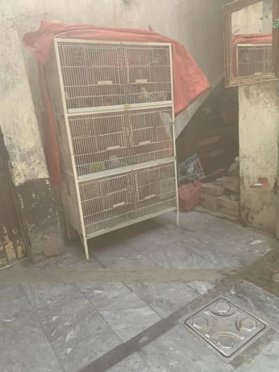 Cage 6 khano wala