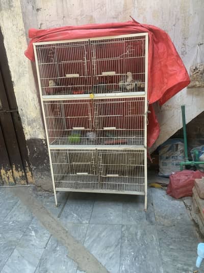 Cage 6 khano wala