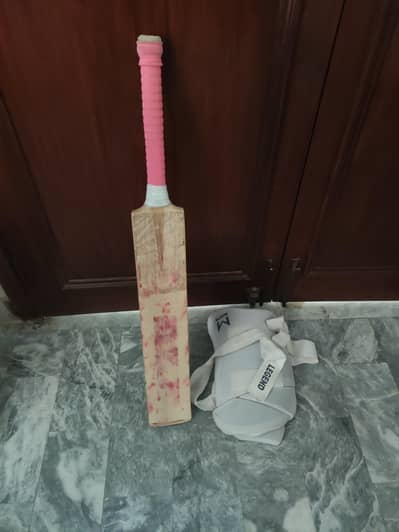 Kashmir willow bat