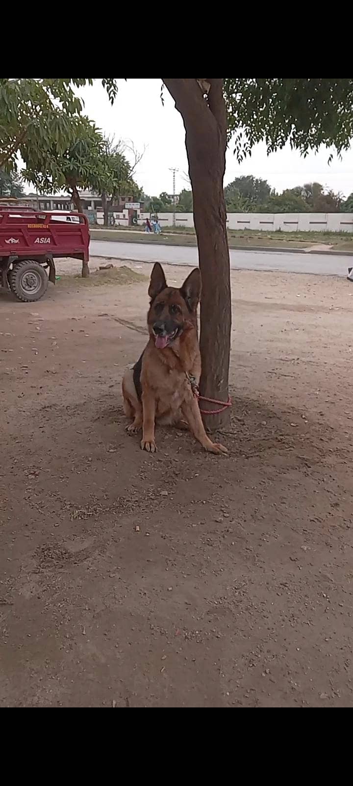 khayx 3