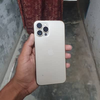 Iphone 12 pro max