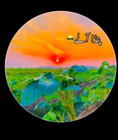9th class ki Urdu medium English, Urdu, computer science, chemistry