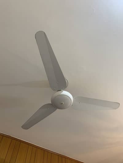 Sk fans full size 56inch